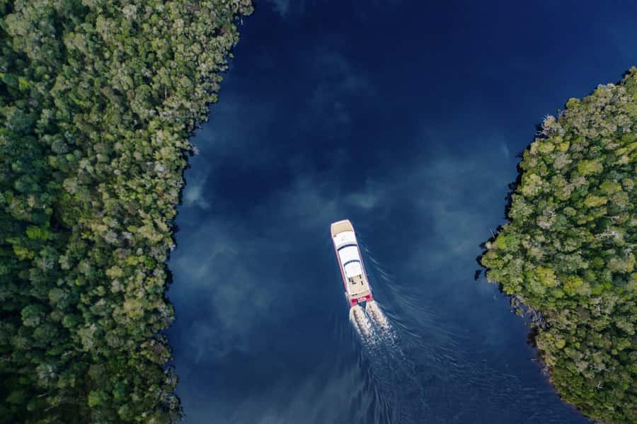 Strahan: World Heritage Cruise on Gordon River with Lunch - Six hours from Strahan into Tasmania’s wild west