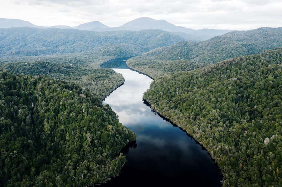 Strahan: World Heritage Cruise on Gordon River with Lunch - Returning to Strahan by way of Huon pine