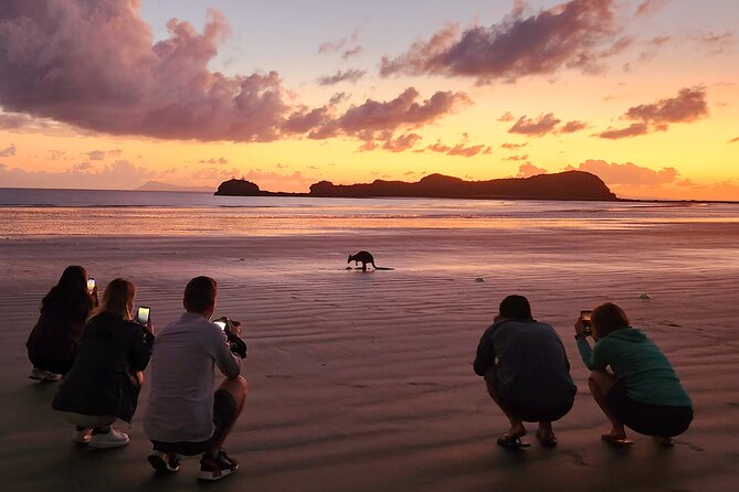 Sunrise with the kangaroos and wallabies - Breakfast after the wildlife viewing