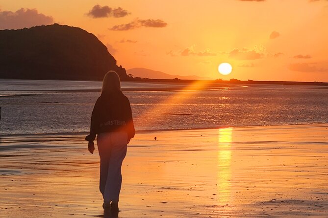 Sunrise with the kangaroos and wallabies - Walking through Cape Hillsborough National Park