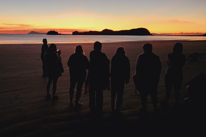 Sunrise with the kangaroos and wallabies - Is $109.61 good value?