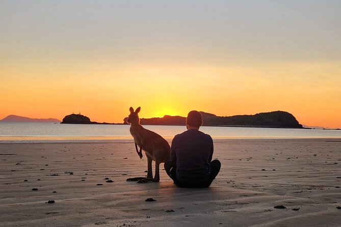 Sunrise with the kangaroos and wallabies - Weather, cancellations, and useful planning details