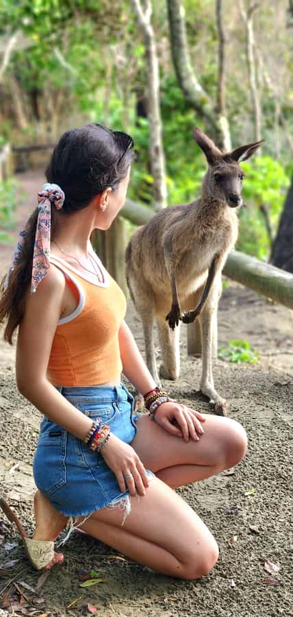 Sunrise with the Kangaroos & Wallabies - Airlie Beach - Why sunrise at Cape Hillsborough is worth the alarm