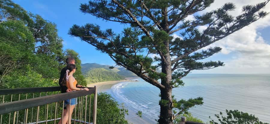Sunrise with the Kangaroos & Wallabies - Airlie Beach - Watching kangaroos and wallabies by the sea