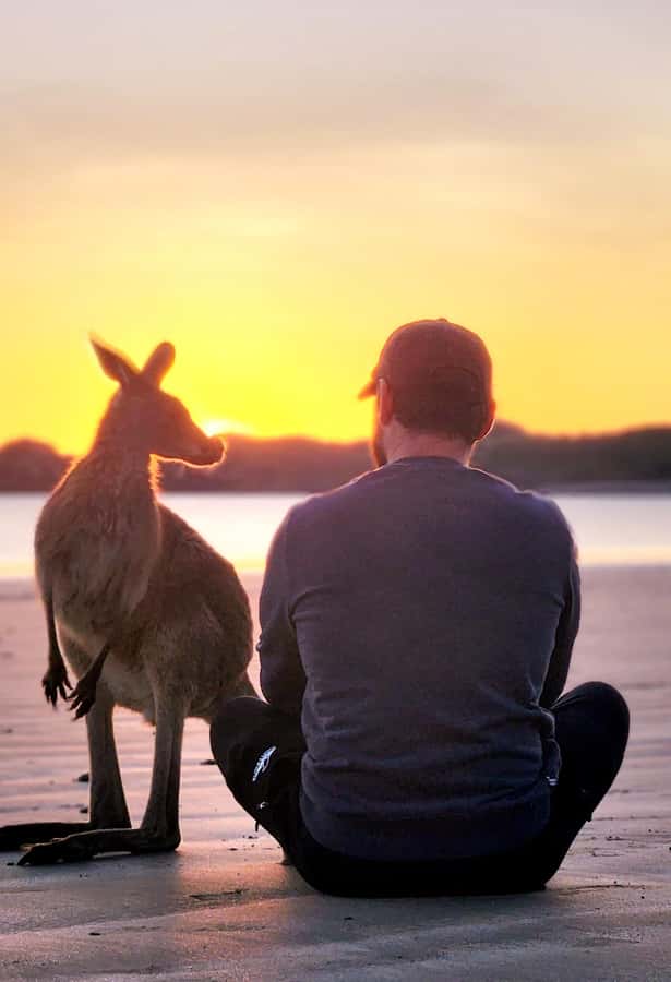 Sunrise with the Kangaroos & Wallabies - Airlie Beach - The 30-minute bush walk to the lookout