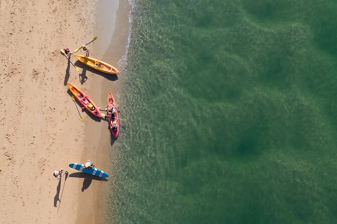 Sunset Kayak Eco Tour with Marine Scientist - Yabbies, hermit crabs, and a break from paddling