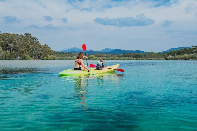 Sunset Kayak Eco Tour with Marine Scientist - What the $43.03 price delivers