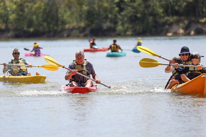 Sunset Kayak Eco Tour with Marine Scientist - Who should book this kayak tour