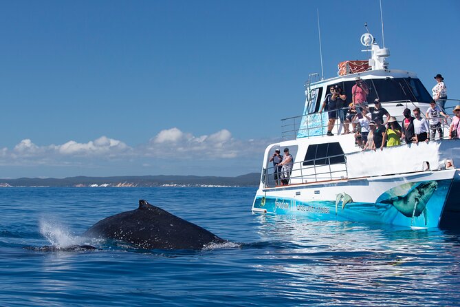 Sunset Twilight Cruise in Hervey Bay - Seating, music, and the overall mood