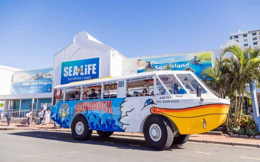 Sunshine Coast: 1-Hour Land and Water Tour - From Parkyn Parade to Mooloolaba Beach