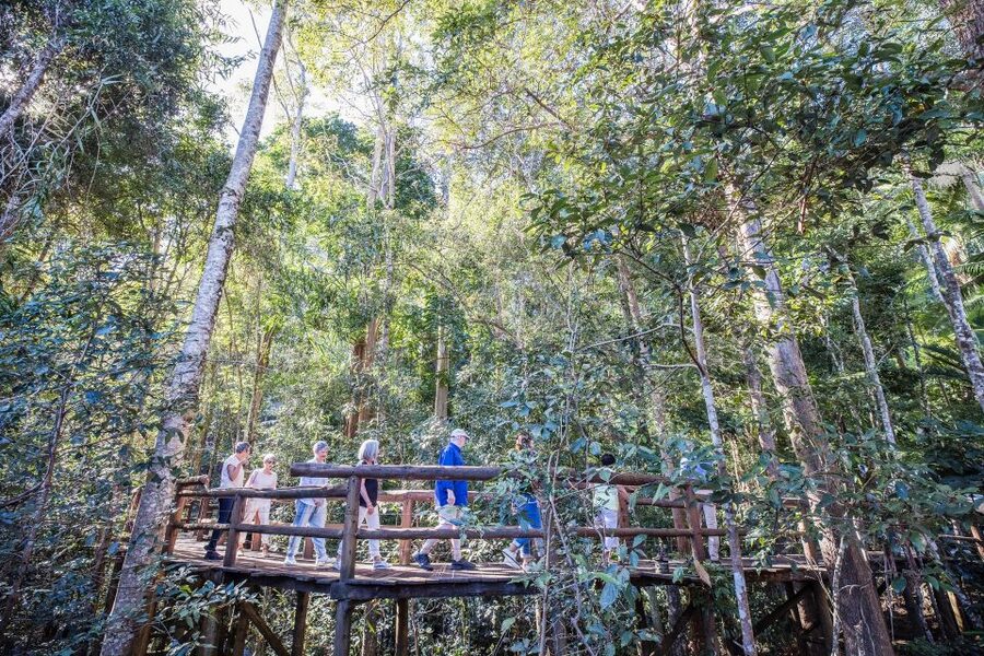 Sunshine Coast & Noosa Hinterland Scenic Culinary Experience - Montville shops and Mapleton Falls