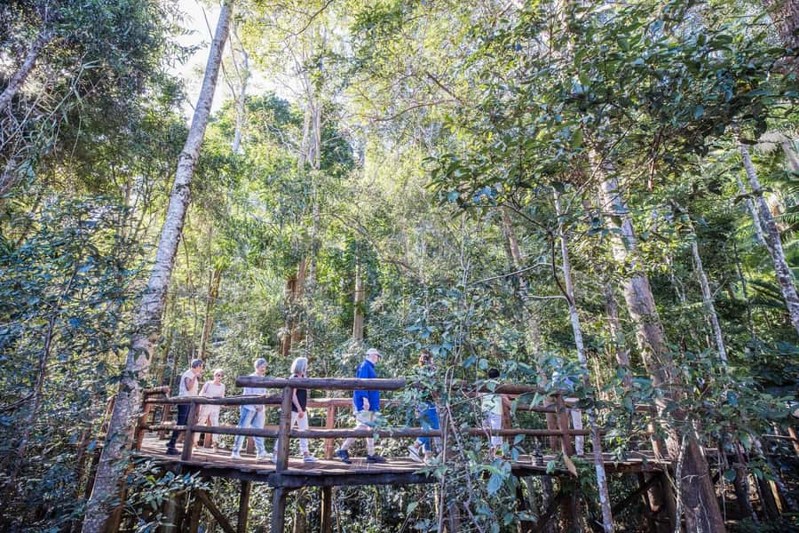Sunshine Coast & Noosa Hinterland Scenic Culinary Experience - How the food and wine schedule changes by day