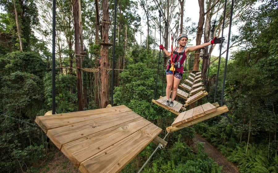 Sunshine Coast: Treetop Challenge Adventure Park - Training, harnesses, and the smart belay system
