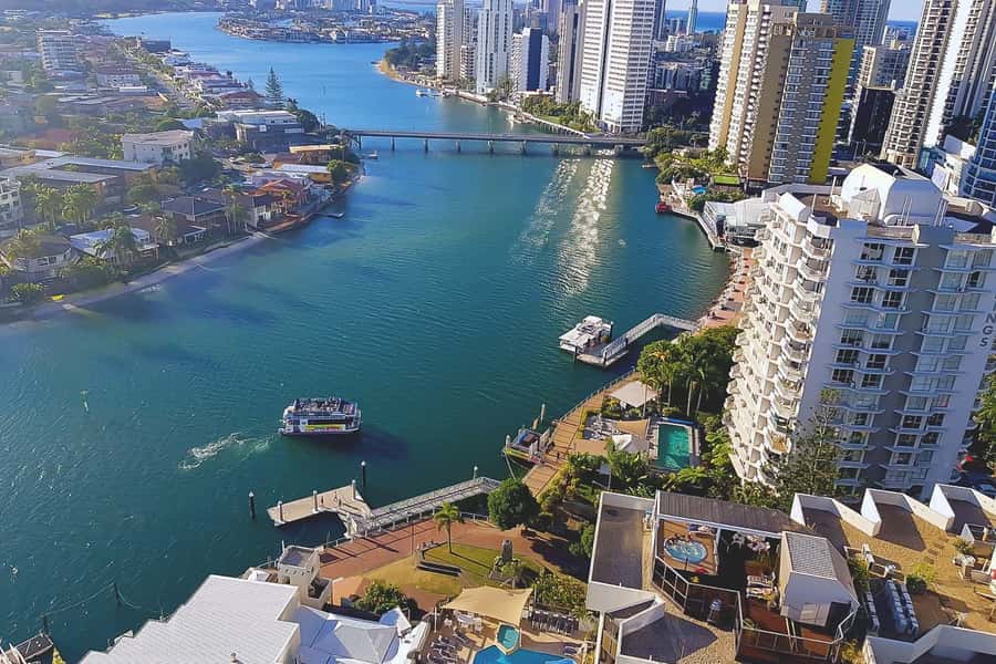 Surfers Paradise: Sightseeing Morning River and Canal Cruise - Dolphins and other wildlife