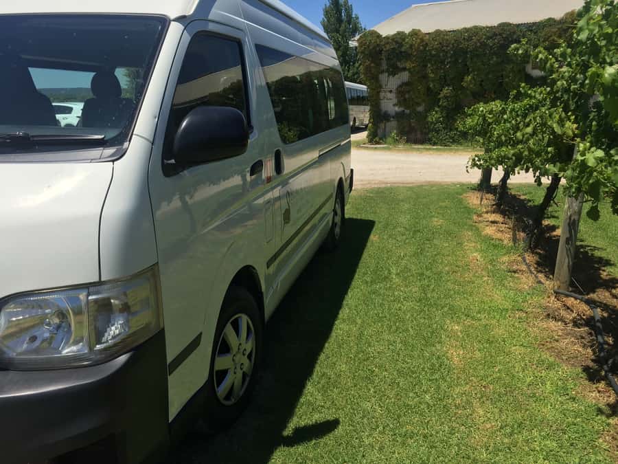 Swan Valley: Full-Day Wine Tour with Lunch - Who should book this tour?