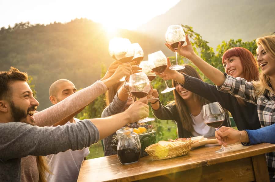 Swan Valley Full-Day Winery Experience with Lunch from Perth - Key points at a glance