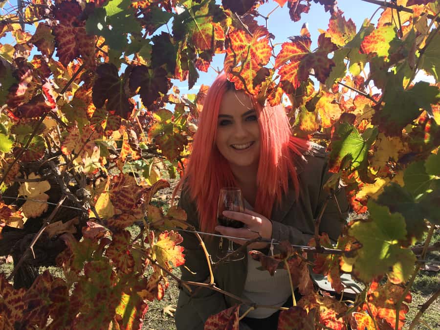 Swan Valley Full-Day Winery Experience with Lunch from Perth - A brewery, then chocolate