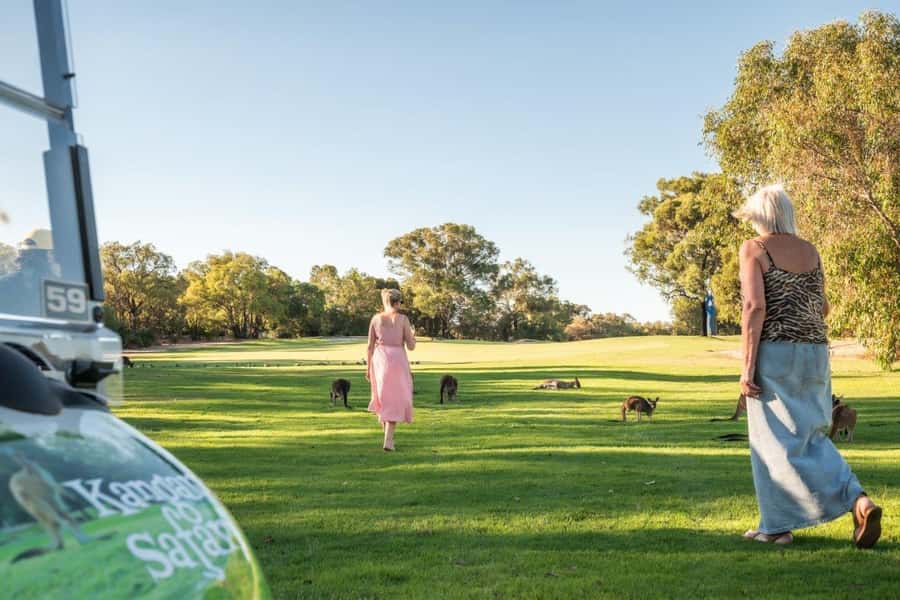 Swan Valley: Golf Cart Kangaroo Safari w/ Mini Golf & Drink - Kangaroos across The Vines fairways