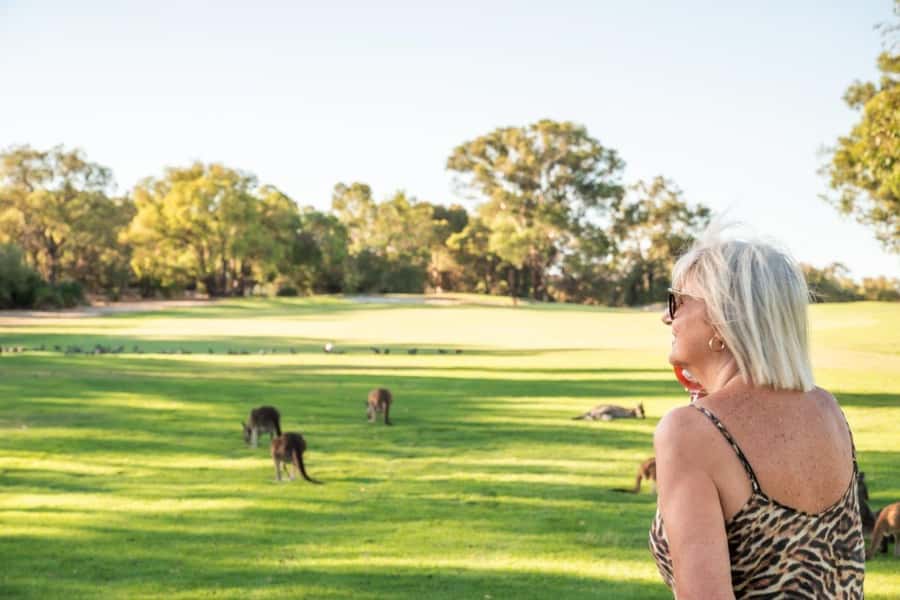 Swan Valley: Golf Cart Kangaroo Safari w/ Mini Golf & Drink - The value of seeing wild animals at a resort
