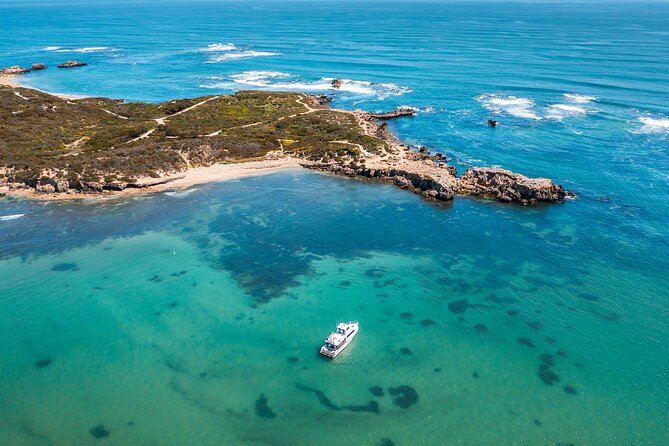 Swim with Wild Dolphins Day Tour - Lunch, hot drinks, and the practical extras