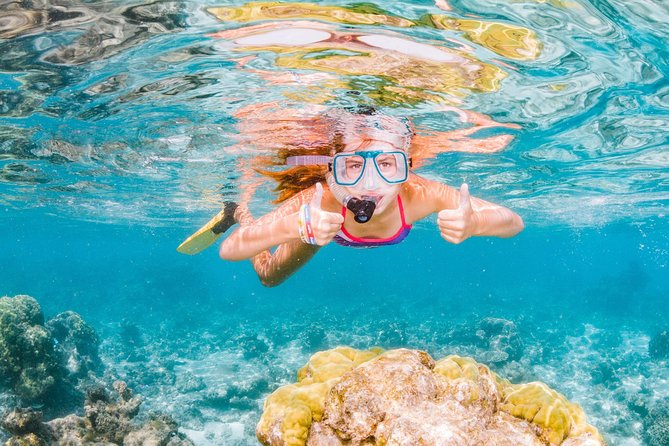 Swimming with the Whale Sharks - Ningaloo Reef (Exmouth) - Why Ningaloo Reef makes this a special day