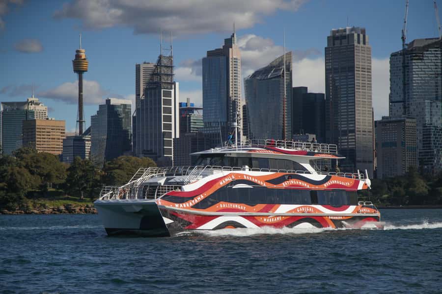 Sydney: 2-hour Express Whale Watching Cruise - What a good sighting can look like