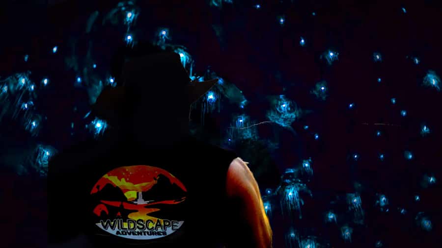 Sydney: Blue Mountains Glow Worms Wild Adventure by Night - What you may see on the way to the cave