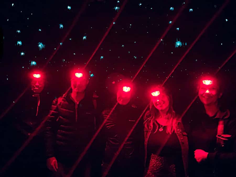 Sydney: Blue Mountains Glow Worms Wild Adventure by Night - Should you book the Blue Mountains glow worm night tour?
