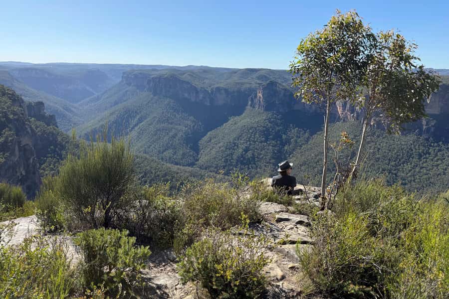 Sydney: Blue Mountains Kangaroos, Wilderness and Sunset Tour - Short wilderness walks, with real uphill work