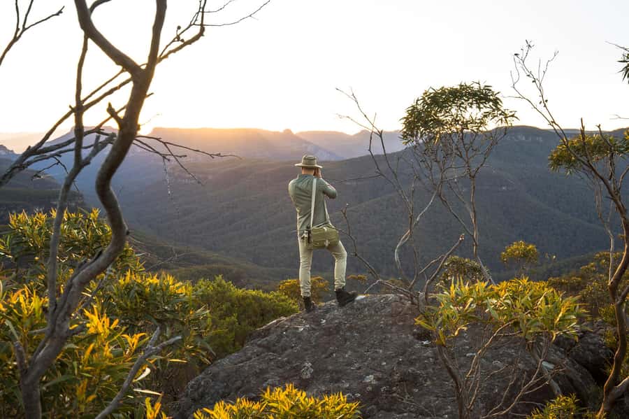 Sydney: Blue Mountains Kangaroos, Wilderness and Sunset Tour - Finding kangaroos after the crowds leave