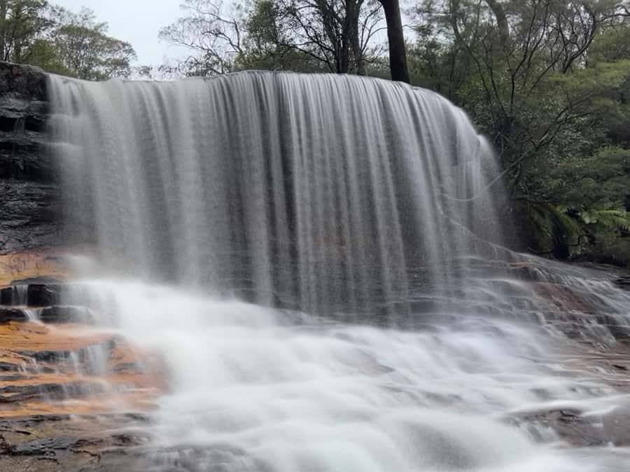 Sydney: Blue Mountains National Park Tour with River Cruise - Lookouts with room to breathe