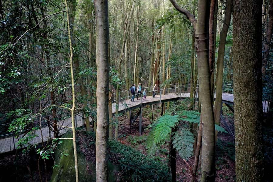 Sydney: Blue Mountains National Park Tour with River Cruise - Leura, the garden village lunch stop