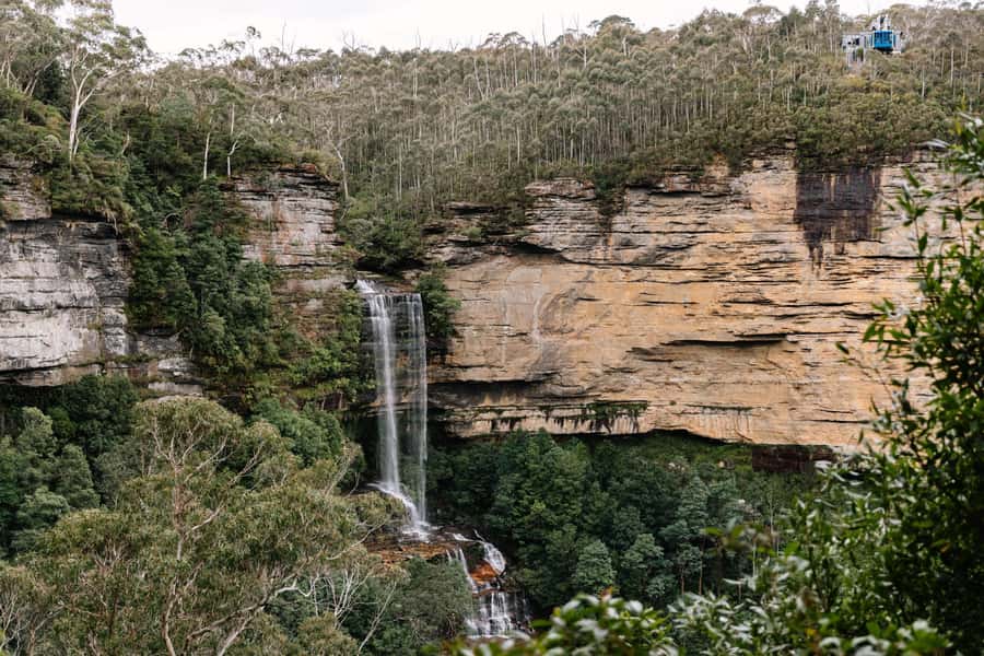 Sydney: Blue Mountains Scenic World, Wildlife Park and Lunch - Who should book this tour?