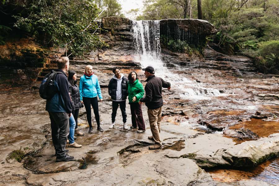 Sydney: Blue Mountains Wildlife & Bushwalk Small-Group Tour - Who should book this tour?