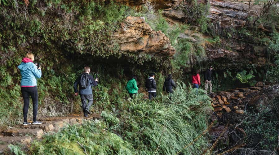 Sydney: Blue Mountains Wildlife & Bushwalk Small-Group Tour - The Blue Mountains by van and on foot