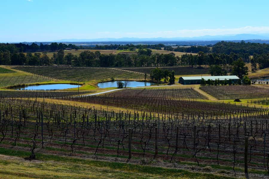 Sydney: Chef-Led Hunter Valley Food & Wine Tour - The long road to Hunter Valley wine country
