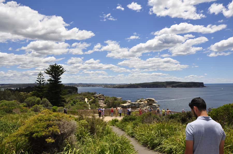 Sydney: City Highlights Guided Bus Tour - Rose Bay and Sydney’s eastern suburbs