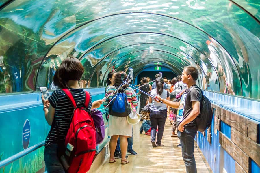 Sydney: Combo Pass for 2, 3, or 4 Top City Attractions - Four Sydney attractions, one flexible plan