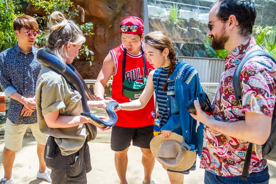 Sydney: Combo Pass for 2, 3, or 4 Top City Attractions - Sydney Tower Eye requires extra planning