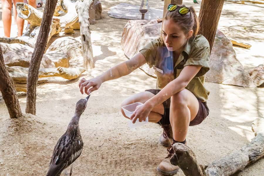 Sydney: Combo Pass for 2, 3, or 4 Top City Attractions - Madame Tussauds turns the visit into a playful stop