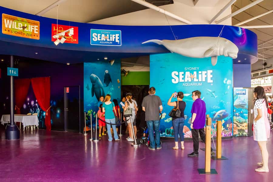 Sydney: Combo Pass for 2, 3, or 4 Top City Attractions - How the 60-day window changes the value