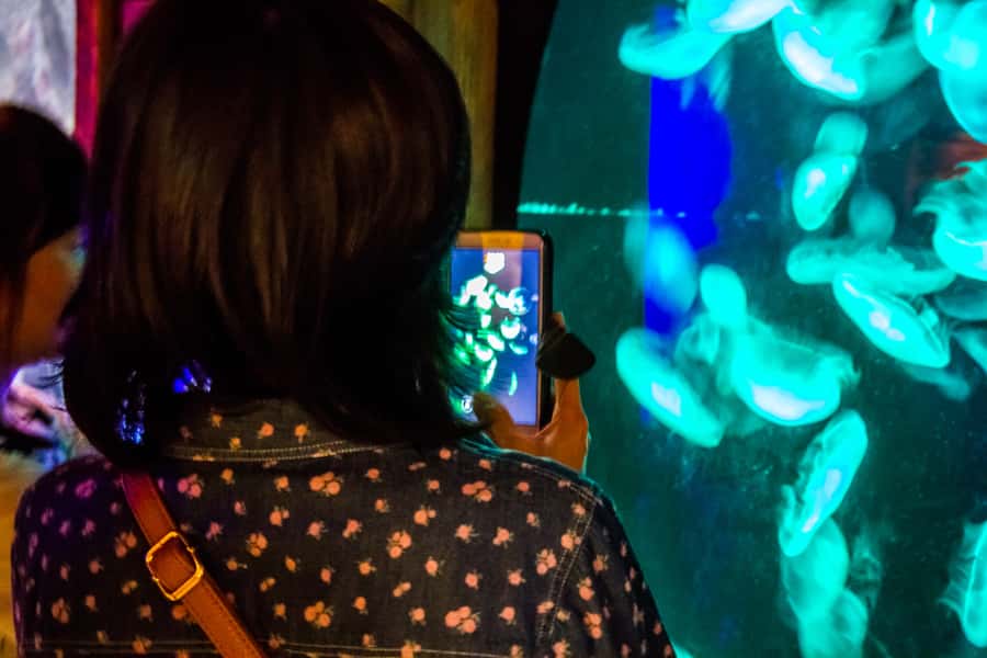 Sydney: Combo Pass for 2, 3, or 4 Top City Attractions - A practical day at Darling Harbour