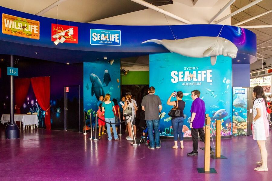 Sydney: Combo Pass for 2, 3, or 4 Top City Attractions - Phone entry is simpler than the older instructions suggest