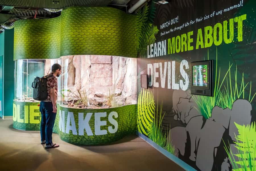 Sydney: Combo Pass for 2, 3, or 4 Top City Attractions - WILD LIFE Sydney brings Australian animals into the city