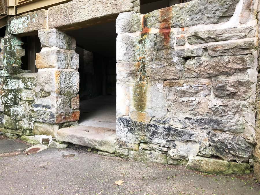 Sydney Convicts, History & The Rocks 2.5-Hour Walking Tour - Indigenous history is part of the story
