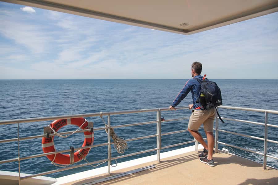 Sydney: Discovery Whale Watching Tour by Catamaran - Drinks, food, and comfort onboard
