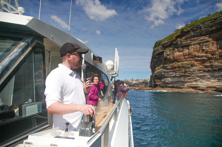 Sydney: Discovery Whale Watching Tour by Catamaran - Is $63 good value for 150 minutes?