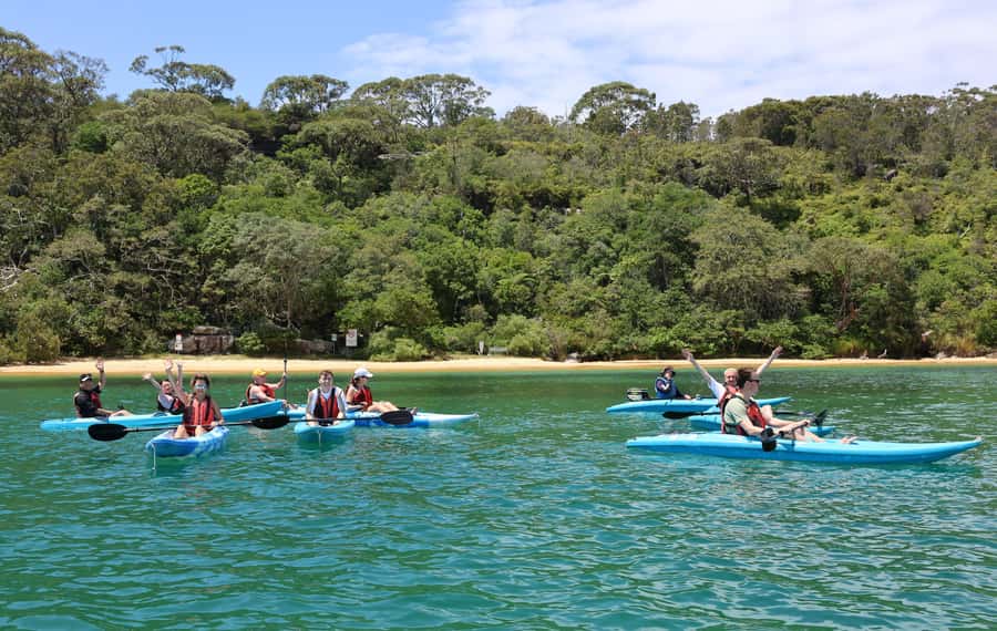 Sydney: Guided Kayak Tour of Manly Cove Beaches - Why this Manly paddle feels different from a harbor cruise