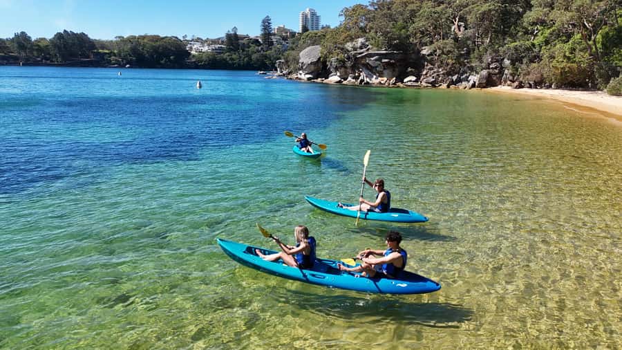 Sydney: Guided Kayak Tour of Manly Cove Beaches - What guides add to the outing