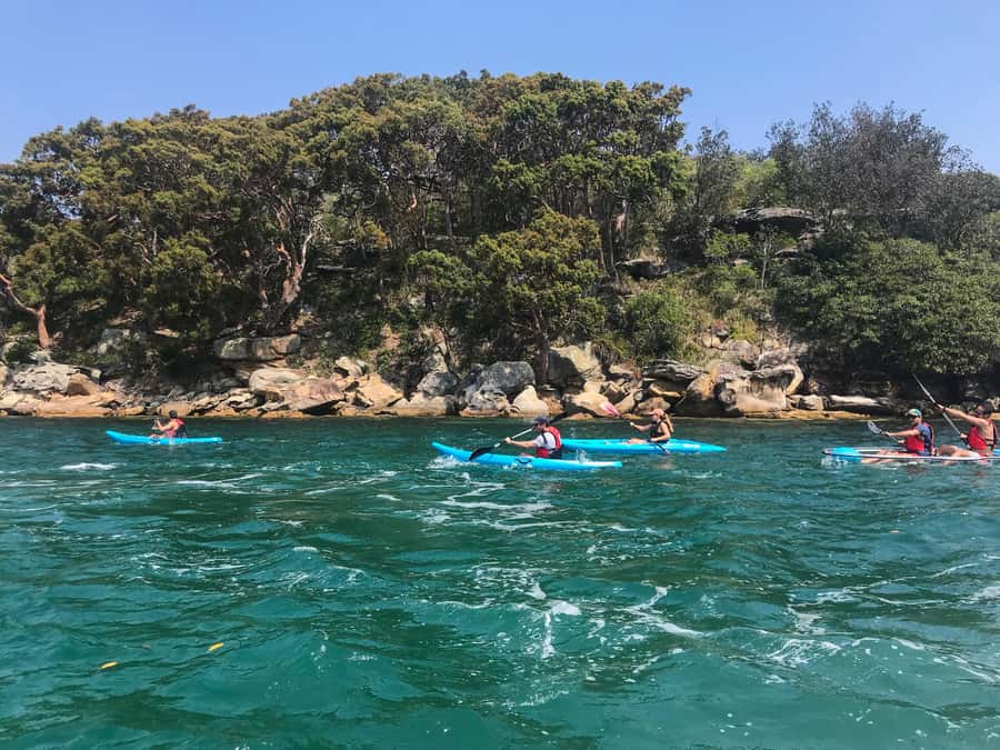 Sydney: Guided Kayak Tour of Manly Cove Beaches - Collins Flat, Store, and Quarantine beaches